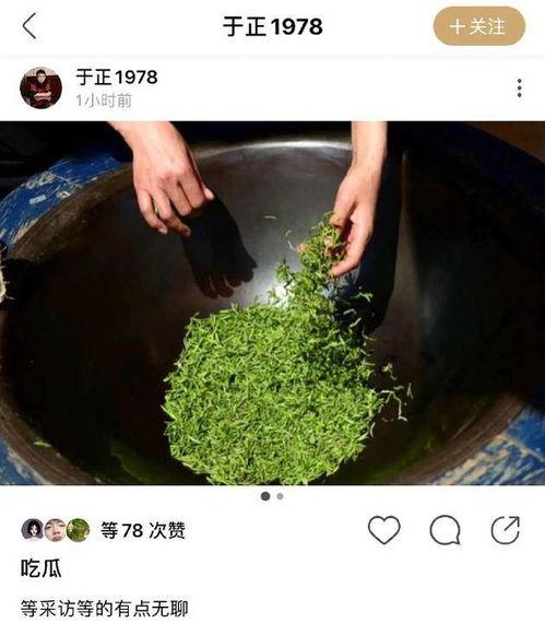 吃瓜绿茶,网络热词背后的文化现象