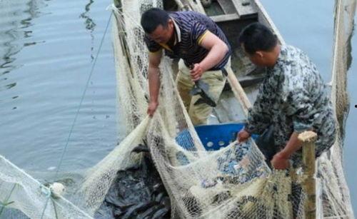 渔民吃瓜看军演,民拥军心，共筑和平防线