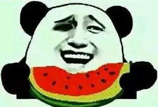 周四吃瓜,揭秘娱乐圈最新热点事件