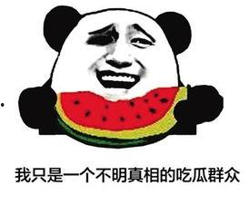 网络吃瓜发表言论,笑料百出，观点纷呈