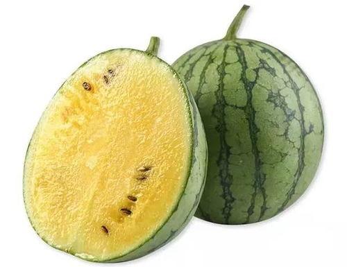 长条凳吃瓜,揭秘民间故事背后的趣味与智慧