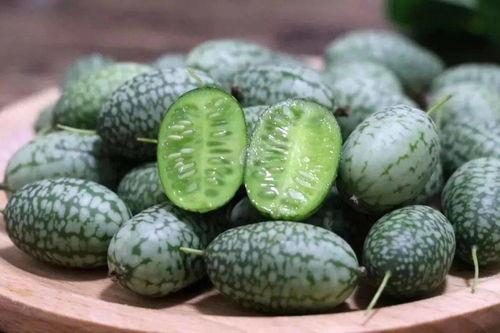 吃瓜15,一场全民参与的娱乐盛宴