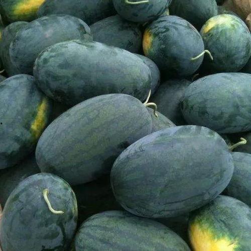 吃瓜一号,揭秘娱乐圈背后的那些事儿