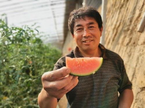 吃瓜群众陈泽,吃瓜群众的趣味人生