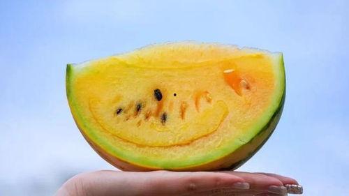 云南最近吃瓜,最新吃瓜事件大盘点