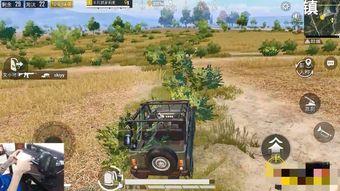 包子和平精英吃瓜,吃瓜群众眼中的电竞风云