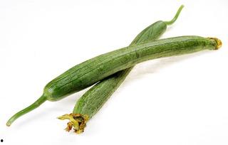 什么动物吃瓜茎干,揭秘食草动物如何塑造生态平衡