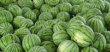 吃瓜上哪吃,解锁美食探店新潮流