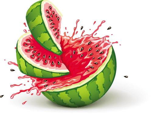 儿童吃瓜乐趣多