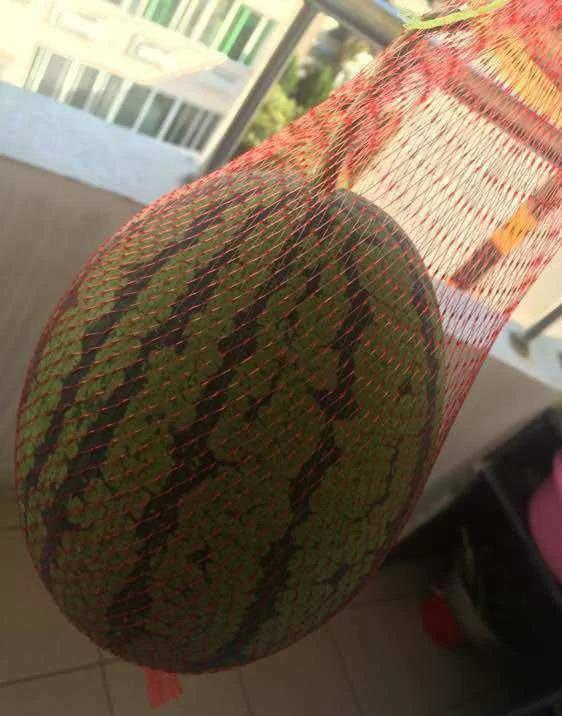 梦见别人摘瓜切瓜吃瓜,瓜熟蒂落，共享瓜香