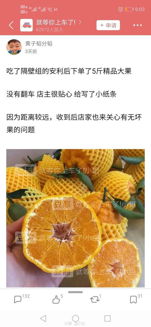 吃大瓜好运连连,揭秘瓜果中的吉祥寓意