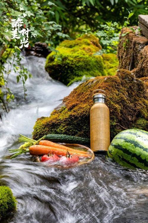 吃瓜网云南丽江