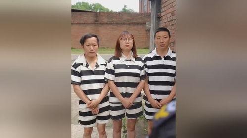 疯人院吃瓜,揭秘疯狂世界里的吃瓜众生相