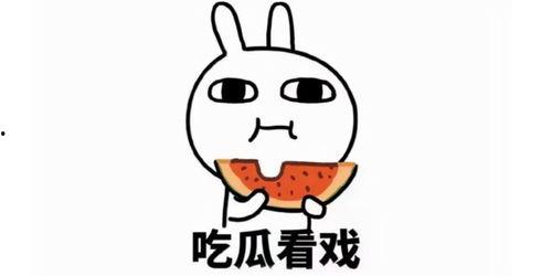 吃瓜被人打文案短句,一场网络暴力引发的血案