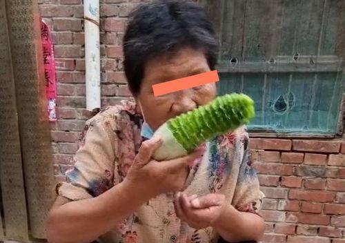 吃瓜婆婆,她如何成为网络红人