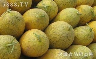 小月子吃蜜瓜,小月子期间的健康甜蜜选择