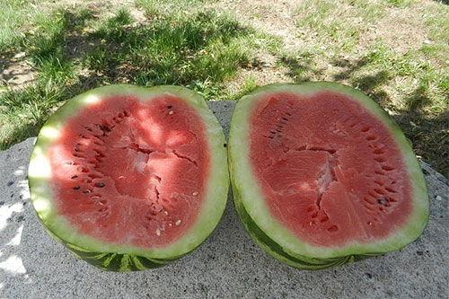 孕妇梦到吃酥瓜