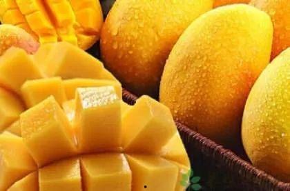 豹纹芒果带你吃瓜,一场别开生面的吃瓜之旅