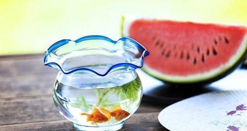 吃瓜料理君,揭秘美食背后的趣味故事