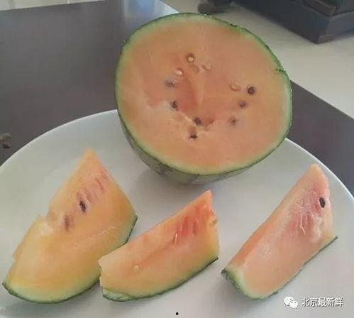 吃瓜瓜不瓜
